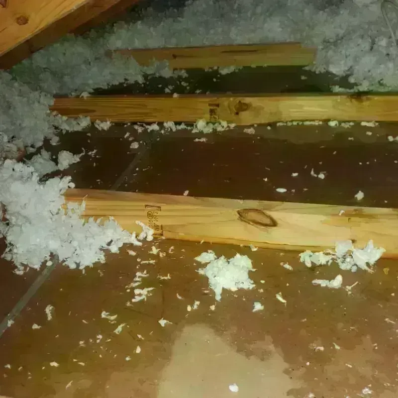 Attic Water Damage in Montague, CA