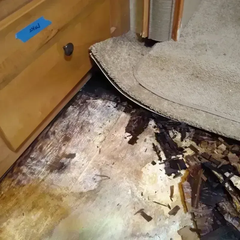 Wood Floor Water Damage in Montague, CA